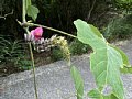 html/2023-07-14 13.03.37-s.html